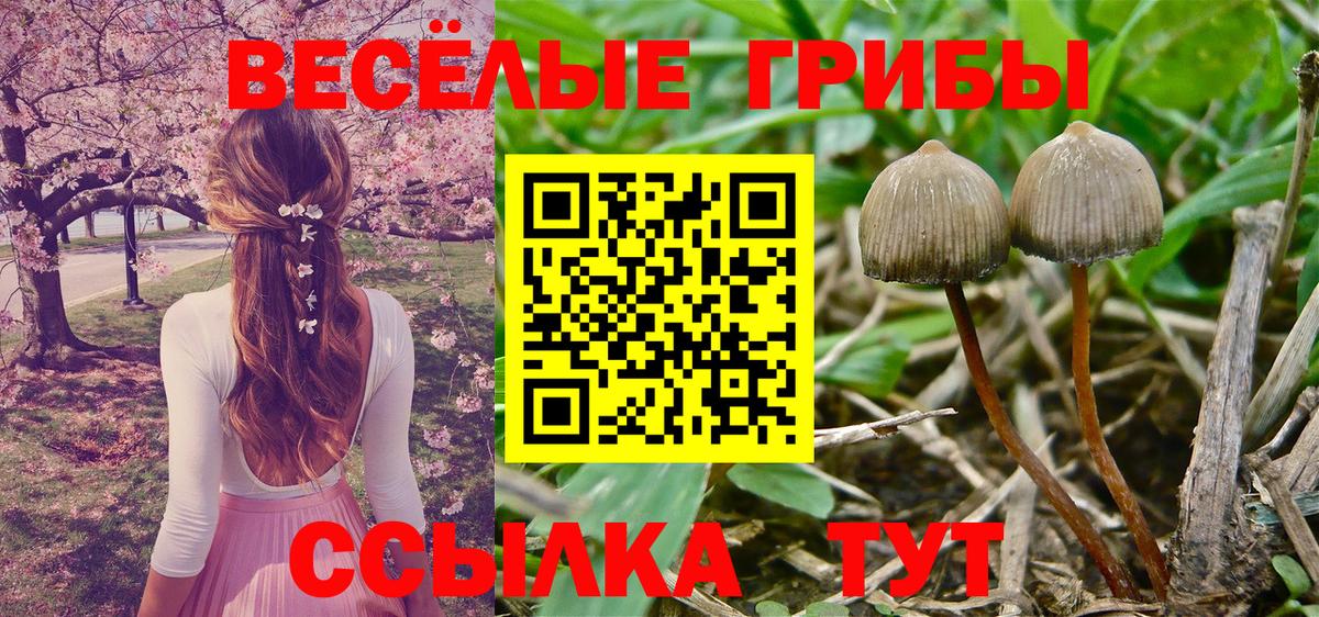 Алапаевск  Галлюциногенные грибы Magic Shrooms  Псилоцибиновые грибы мухоморы  Вход с VPN 